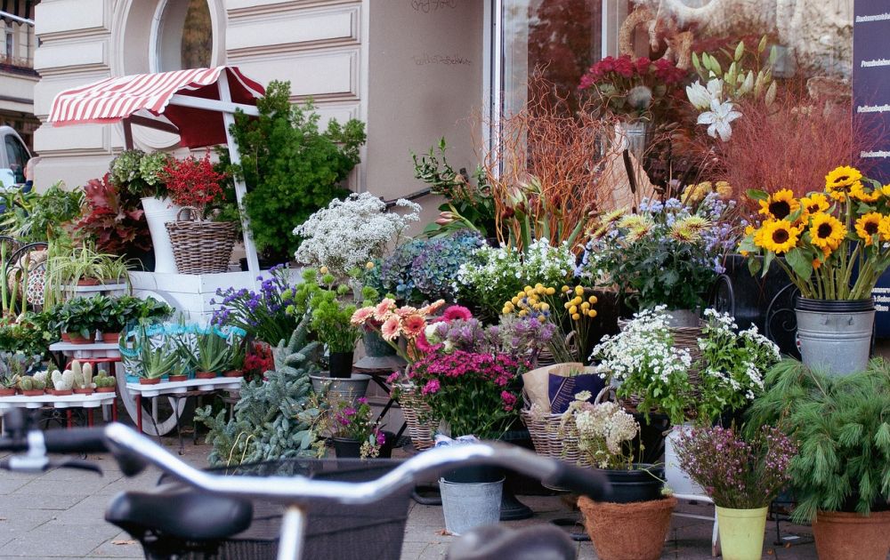 Blomsterbutikk OIslo: En verden av farger og dufter